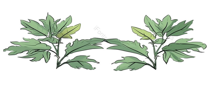 小满图片,蔬菜元素,绿色蔬菜PNG,免抠素材
